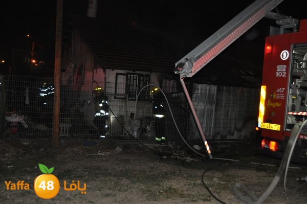 ramlainfejar315 (11).JPG